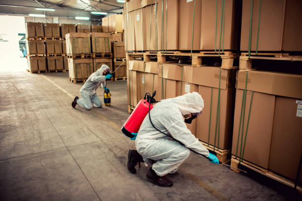 Best Ant Control Services  in Factoryville, PA