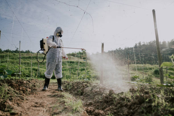 Best Affordable Pest Control Services  in Factoryville, PA