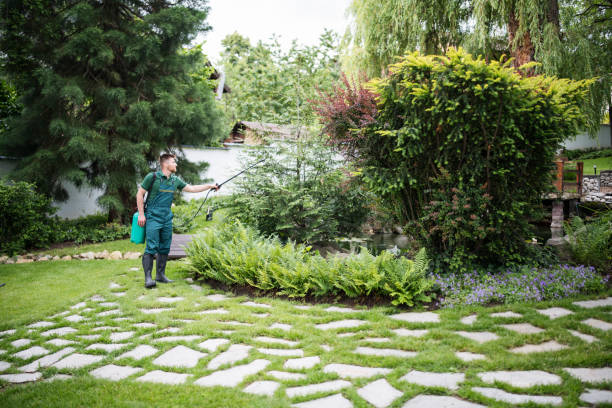 Wasp Removal Services in Factoryville, PA