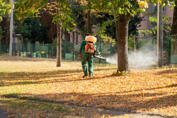 Best Rodent Control Near Me  in Factoryville, PA