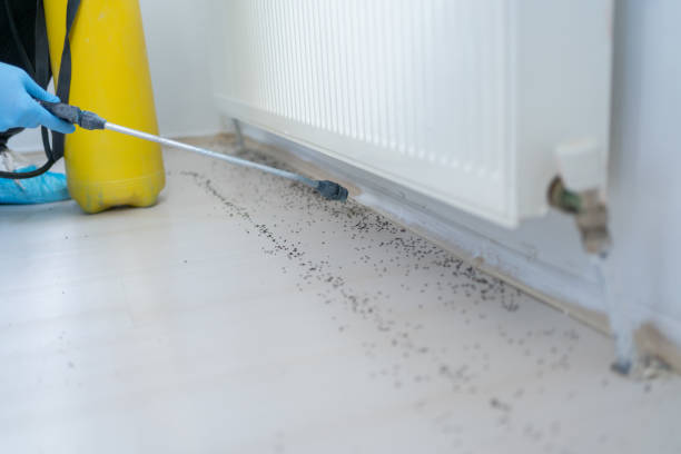 Best Termite Control Services  in Factoryville, PA